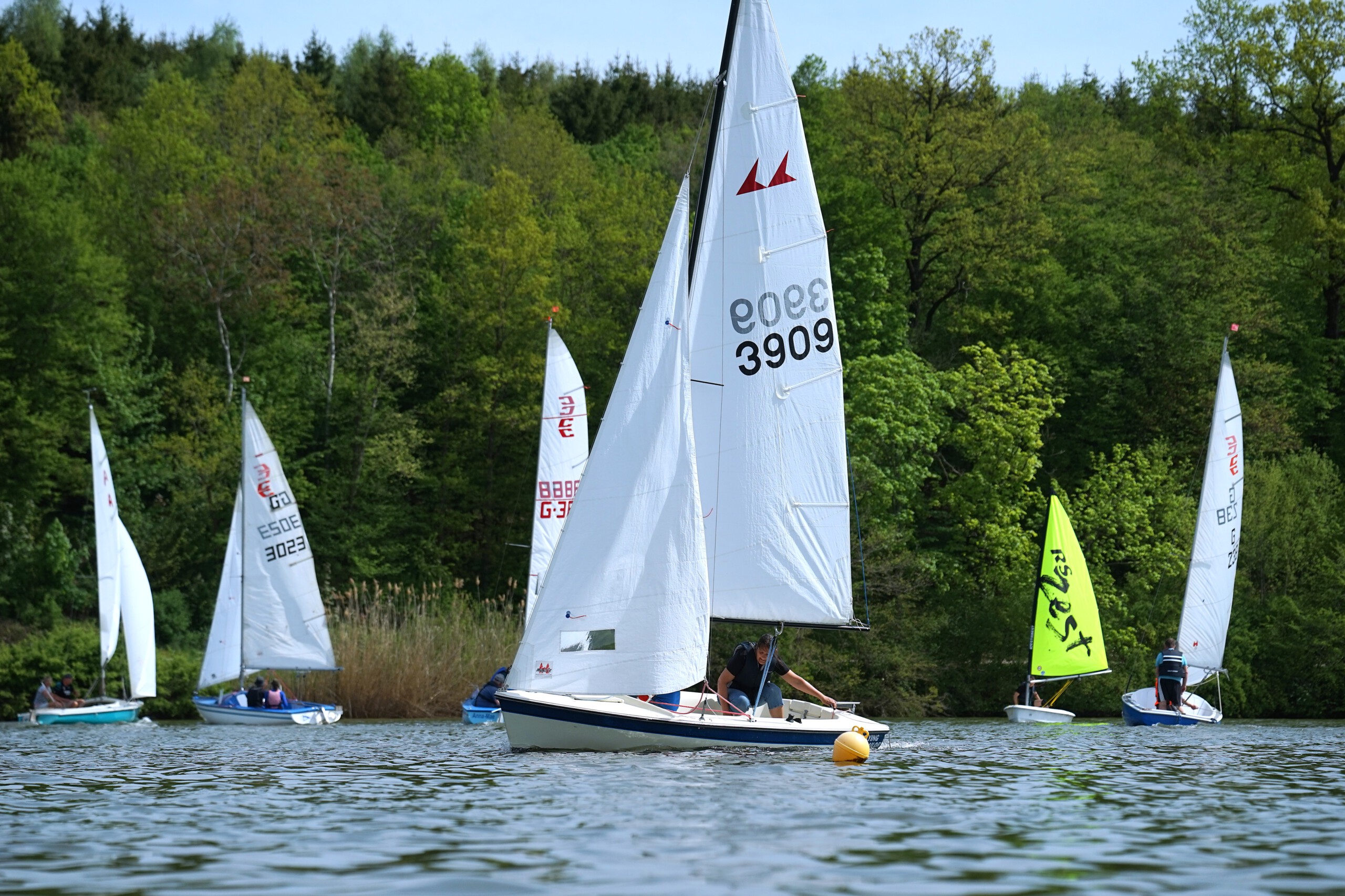 Segelboote der Regatta