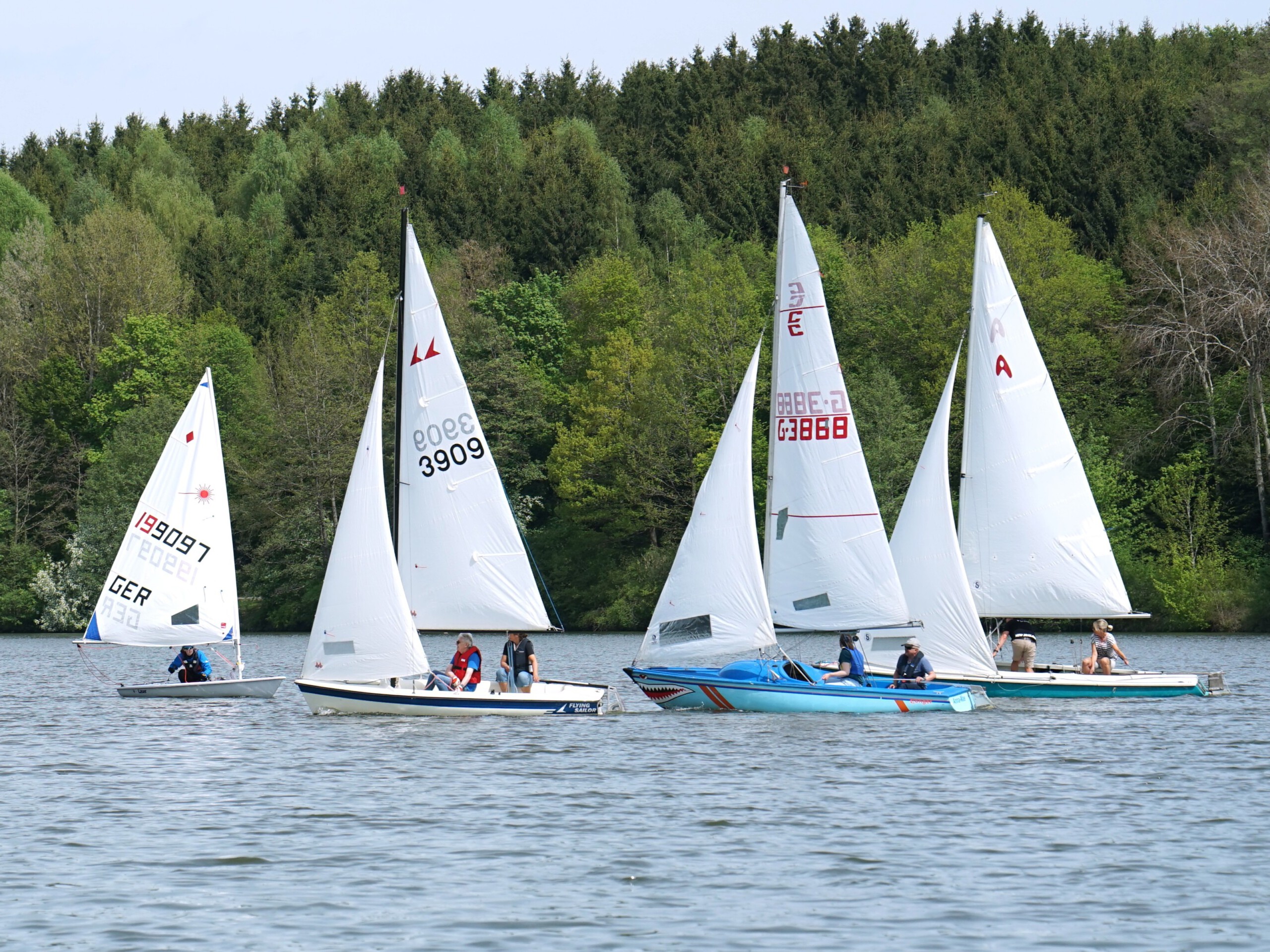 Regattasegeln Regattasegeln